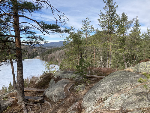 Toppen av Tjuvstuåsen. Her kan man finne roen med flott utsyn mot Foksetjern og Bakkeåsen