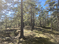 ØyvindBergkvam_20210408_606f6eb83360c.jpg