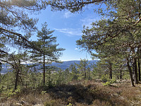 ØyvindBergkvam_20210408_606f6ebe57ace.jpg