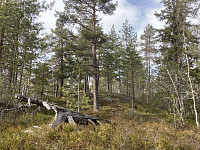 ØyvindBergkvam_20210408_606f6ec4248a2.jpg