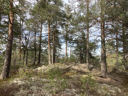 Kaldakeråsen i Holmestrand