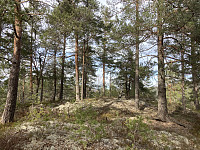ØyvindBergkvam_20210408_606f6ec75da16.jpg