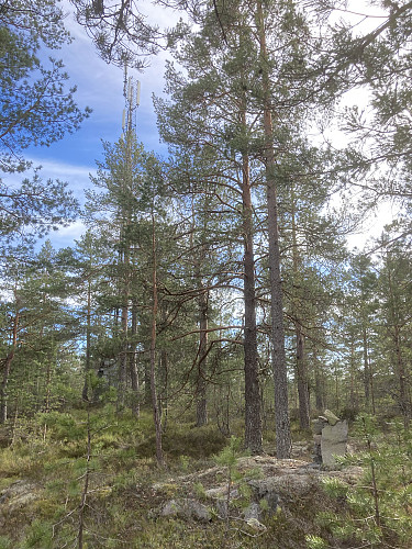 Selve toppunktet ligger omtrent hundre meter innenfor antennemasta på toppen.