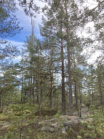 ØyvindBergkvam_20210408_606f6eca95d4d.jpg