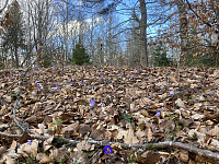 ØyvindBergkvam_20210410_6071b69cf2350.jpg
