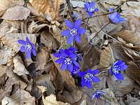 ØyvindBergkvam_20210410_6071b69f39332.jpg
