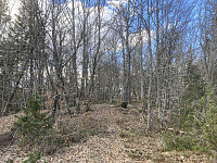 ØyvindBergkvam_20210410_6071b6a0ad323.jpg