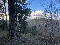 ØyvindBergkvam_20210410_6071b6a37b035.jpg