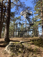 ØyvindBergkvam_20210410_6071b97a6e1e5.jpg