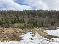 ØyvindBergkvam_20210410_6071bd067ac36.jpg