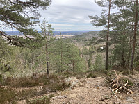 ØyvindBergkvam_20210410_6071bd0b28c76.jpg