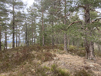 ØyvindBergkvam_20210410_6071bd10d57e0.jpg
