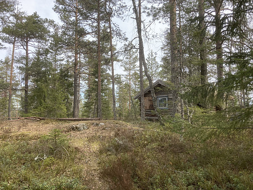 For første gang har jeg sett at det er folk i hytta på Råsokhøgda