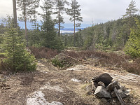ØyvindBergkvam_20210411_6073441eb4c7f.jpg