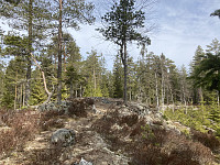 ØyvindBergkvam_20210411_607344219b88b.jpg