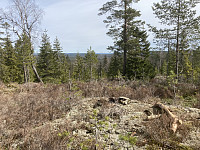 ØyvindBergkvam_20210411_60734427816d6.jpg