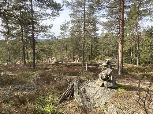 Sørtoppen på Kinnshøgda med noe sikt ned til Kinnsmåsan like ved.
