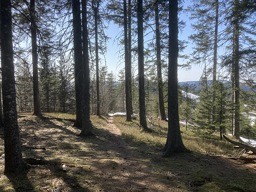 Stien passerer like ved toppunktet på Eggekollen