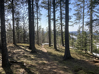 ØyvindBergkvam_20210502_608f0c2cc0a47.jpg