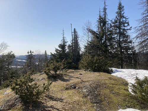 Storkollen i Lier