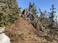 ØyvindBergkvam_20210502_608f0c359d9c8.jpg