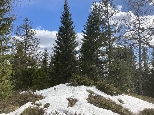 Brunkollen i Oslomarka, 414 moh.