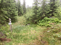 ØyvindBergkvam_20210620_60cf691c37c39.jpg
