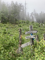 ØyvindBergkvam_20210620_60cf691e127dc.jpg