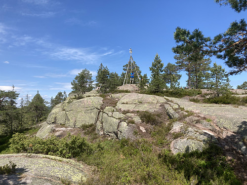 Snart på toppen av Bukollen i Nittedal