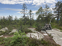 ØyvindBergkvam_20210620_60cf6e9e0f3de.jpg