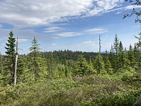 ØyvindBergkvam_20210620_60cf6ea057b1e.jpg