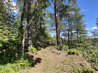 ØyvindBergkvam_20210627_60d8d789be033.jpg