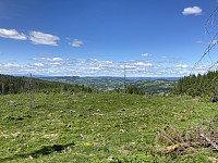 ØyvindBergkvam_20210627_60d8d78ec24fd.jpg