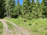 ØyvindBergkvam_20210627_60d8d790f2609.jpg