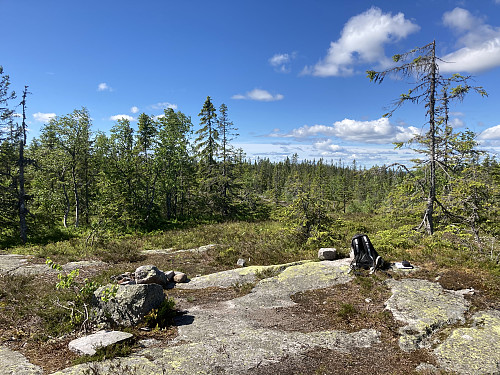 Toppen av Bislingflaka