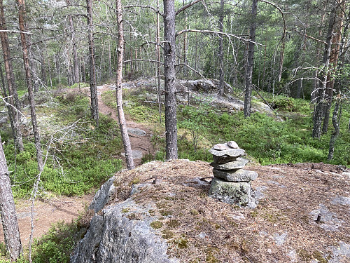 Åpent og fint på Vanakleiva, men uten utsikt fra toppen. Da må man gå videre ned til utsiktspunktet på kanten av stupet.
