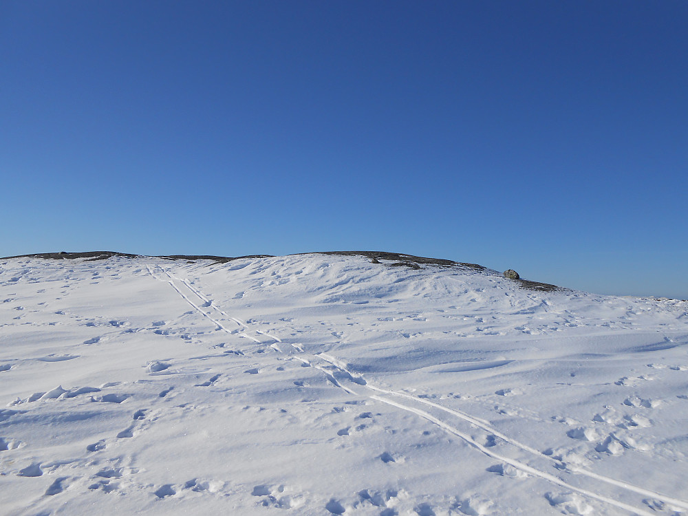 The summit.
