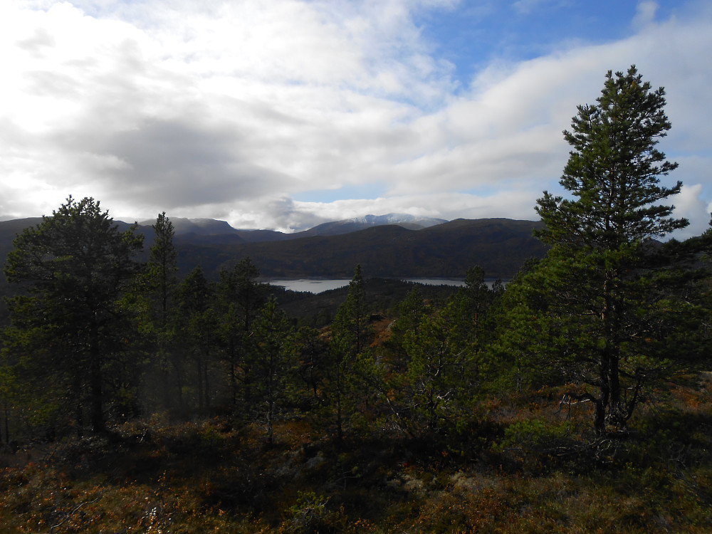 Utsikt fra toppen mot Ruten.