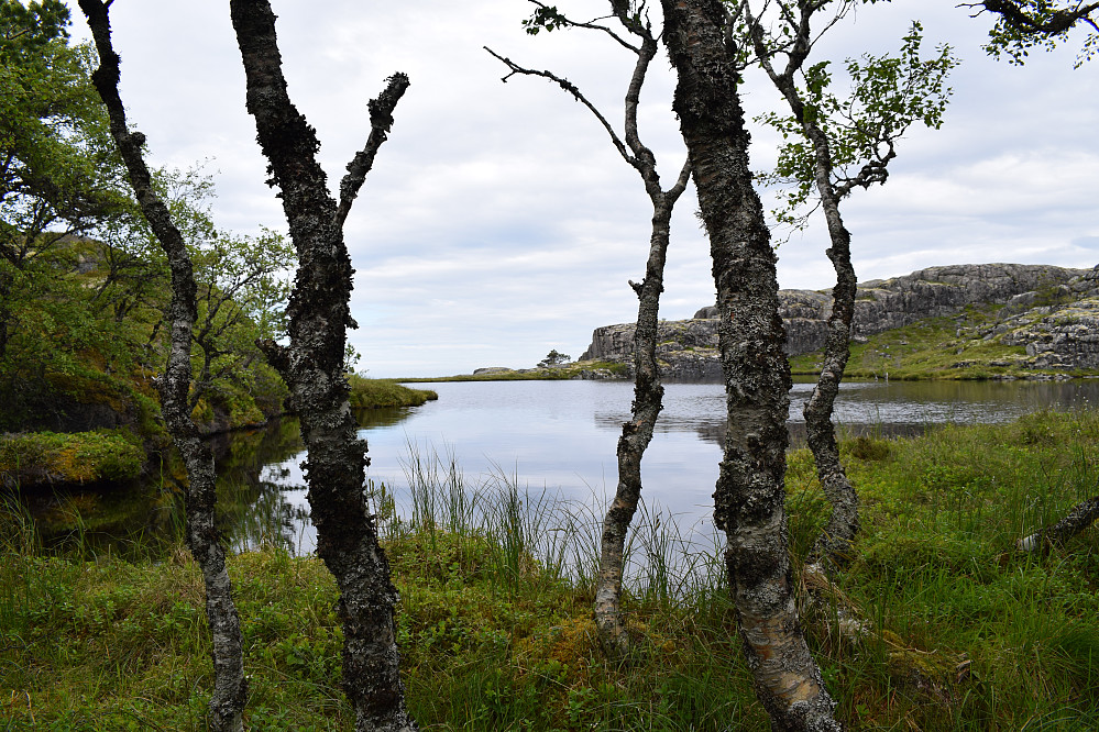 Ei lita tjønn på toppen av Storlifjellet.