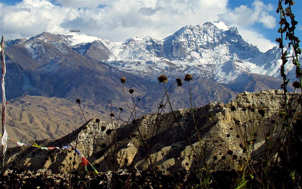 Belgian Peak From Samar (Mustang)