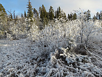 Julia_20181126_5bfbd34198e5f.jpg
