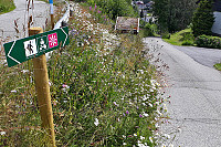 Julia_20190718_5d30852e69187.jpg