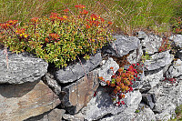 Julia_20190718_5d30852f33fef.jpg