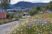 Julia_20190718_5d308533179e4.jpg