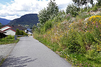Julia_20190718_5d308533ebcd2.jpg