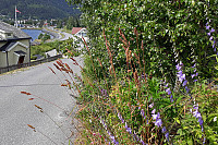 Julia_20190718_5d308535d41ed.jpg