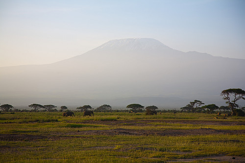 Kilimanjaro sett fra Amboseli i nord.