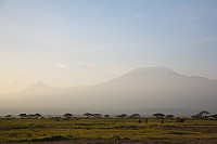 Kibo og Mawenzi (sistnevnte til venstre) sett fra Amboseli Nat. Park i nord.