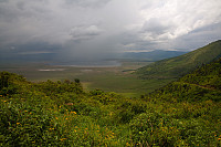 Utsikt ned i Ngorongorokrateret.