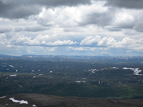 Hardangervidden med Gaustadtoppen som skimtes i det fjerne.